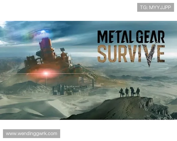 问鼎ccm下载：优化下载速度的实用技巧与注意事项